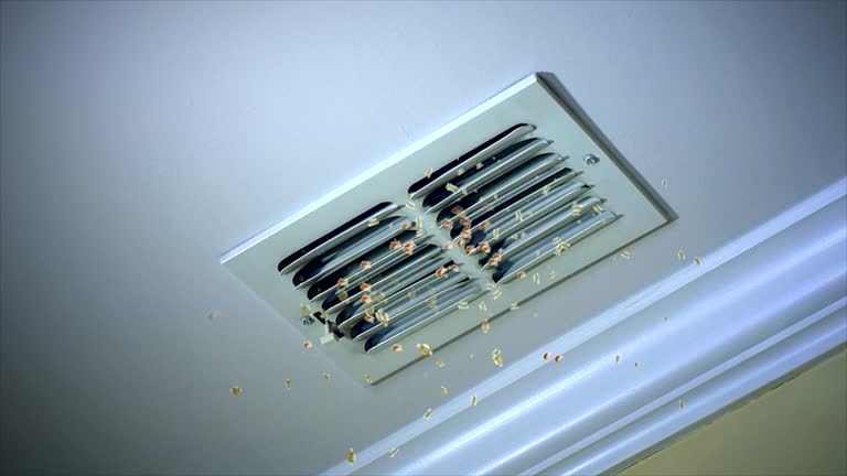 Best Air Duct Cleaning Near Me in Bellevue, WI