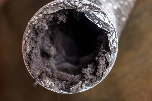 Best Ventilation Cleaning Services  in Bellevue, WI